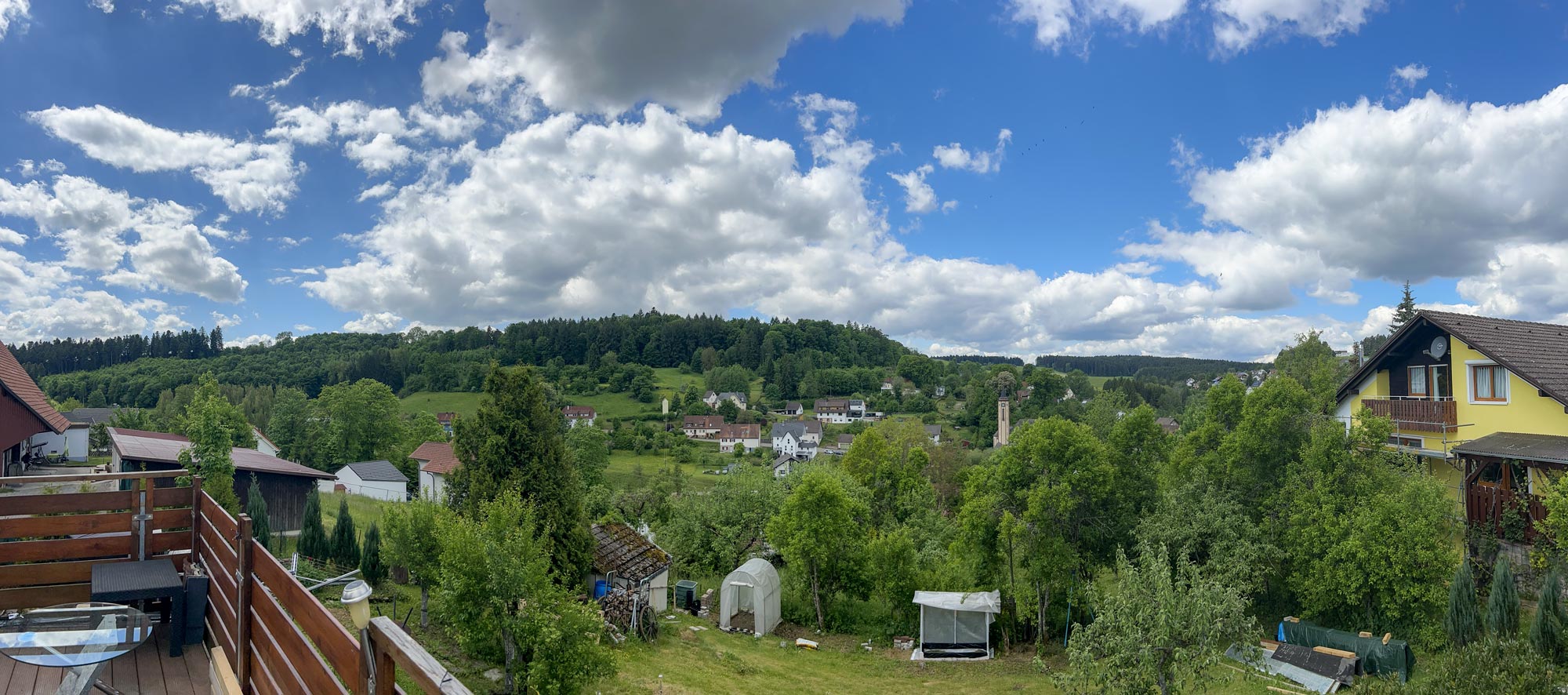 view
